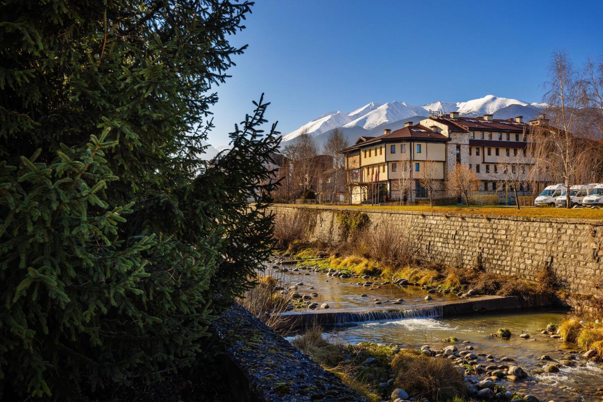 Coliving Bansko, The Social Hotel By Networking Premium Exterior foto